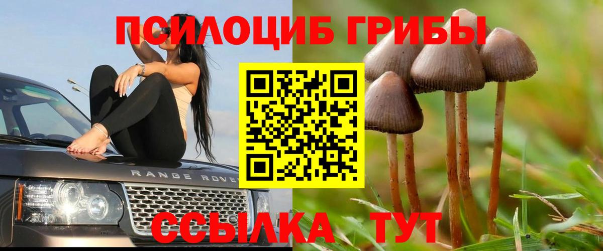 Истра  Псилоцибиновые грибы мицелий  наркотики  Вход с VPN 